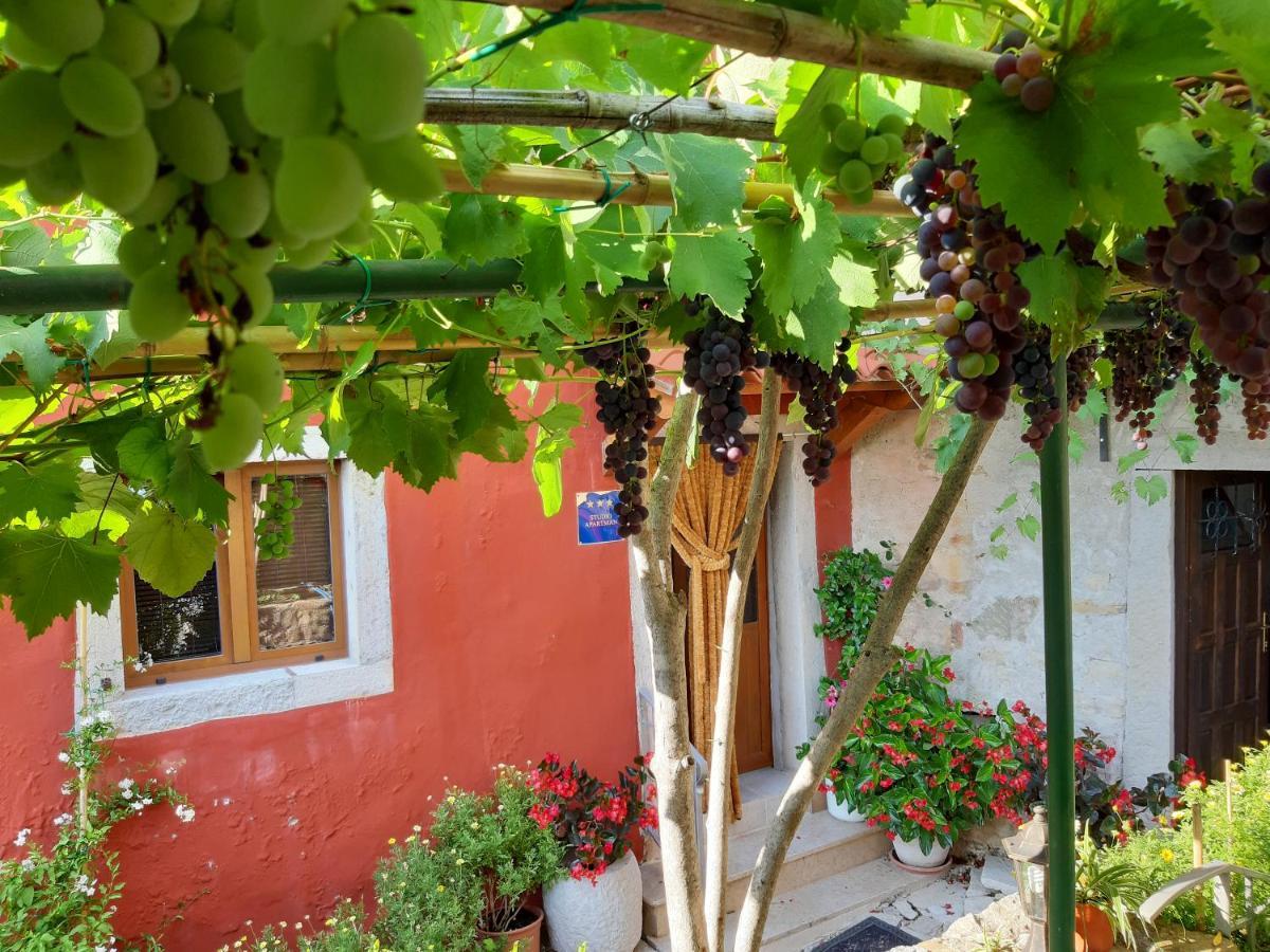 Guesthouse Villa Marija موتوفون المظهر الخارجي الصورة