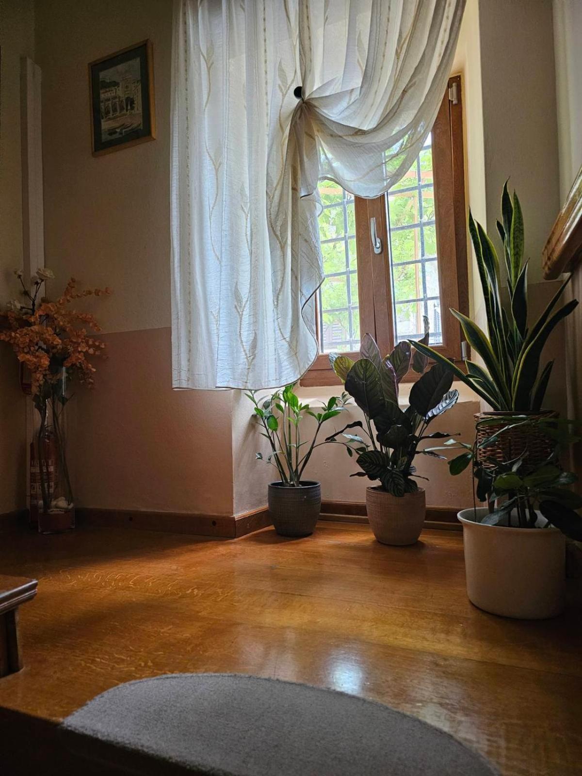 Guesthouse Villa Marija موتوفون المظهر الخارجي الصورة